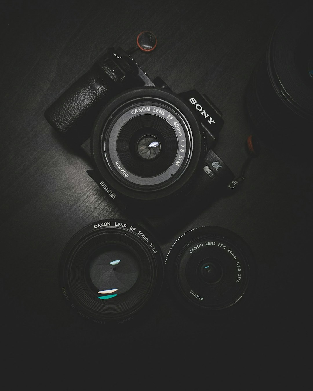 Essential Gear for Wildlife Photography